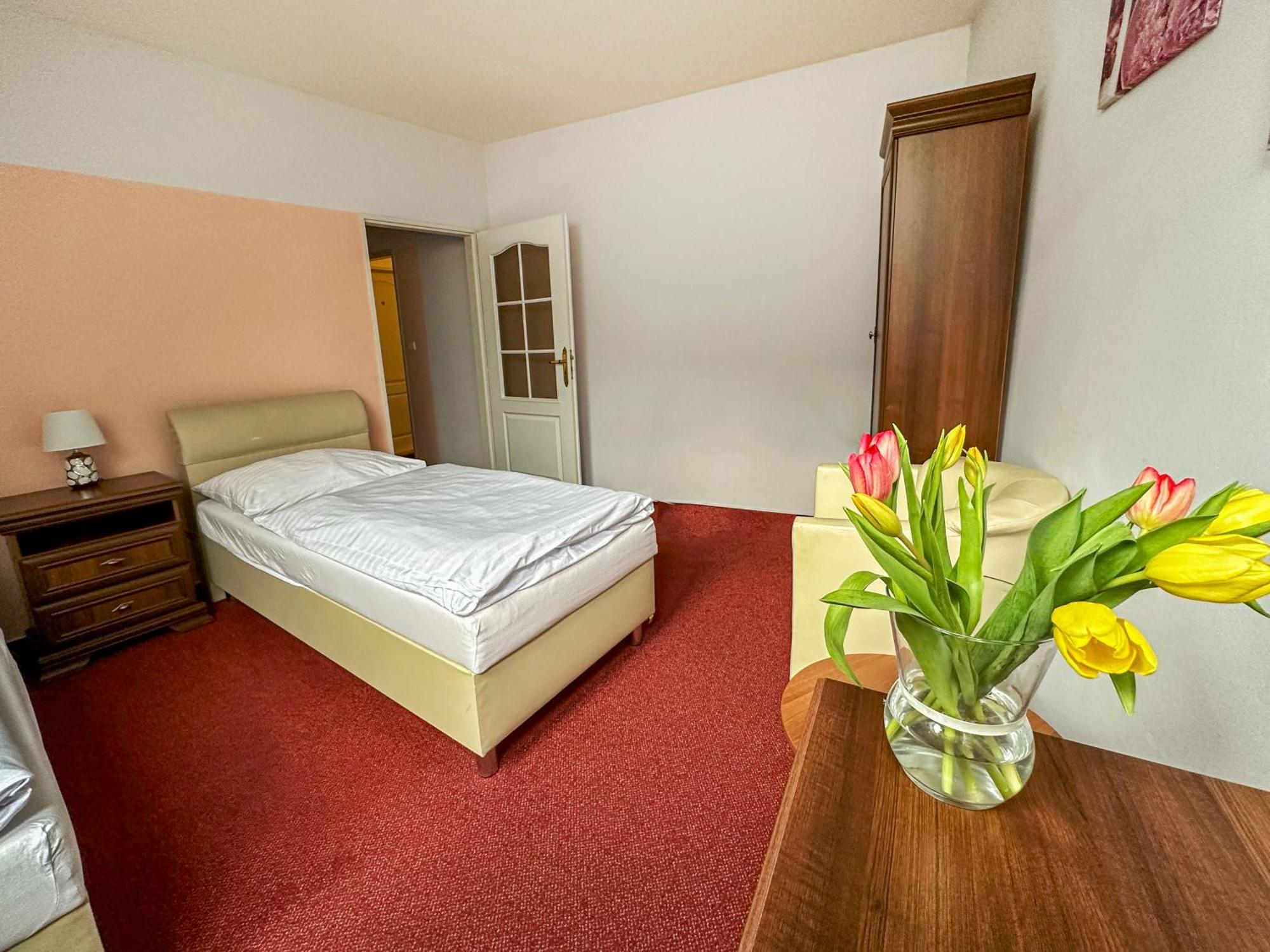 Hotel Ruzek Hranice  Ngoại thất bức ảnh