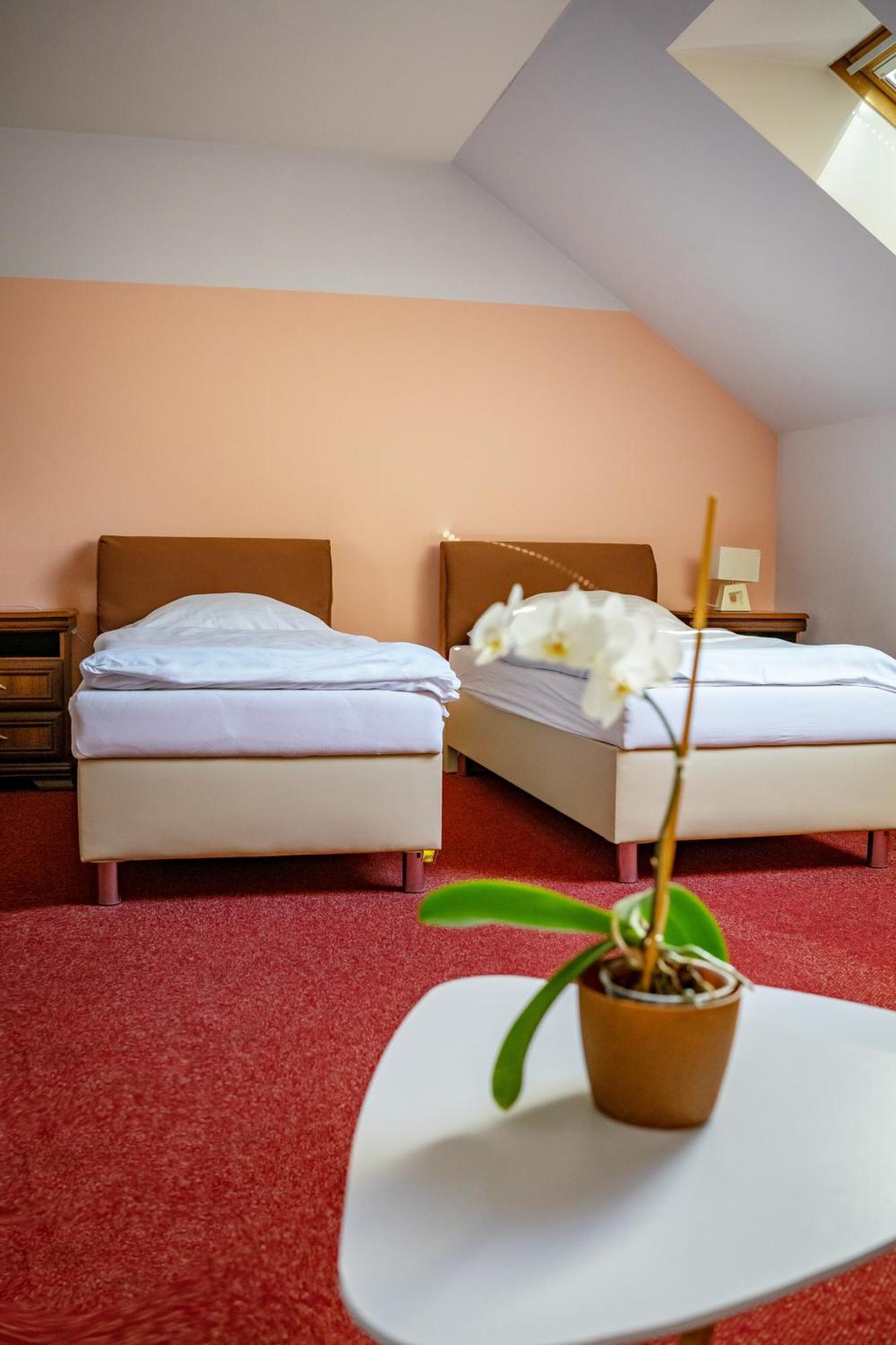 Hotel Ruzek Hranice  Ngoại thất bức ảnh